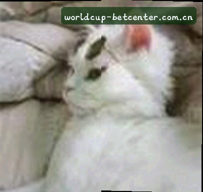 李伟
